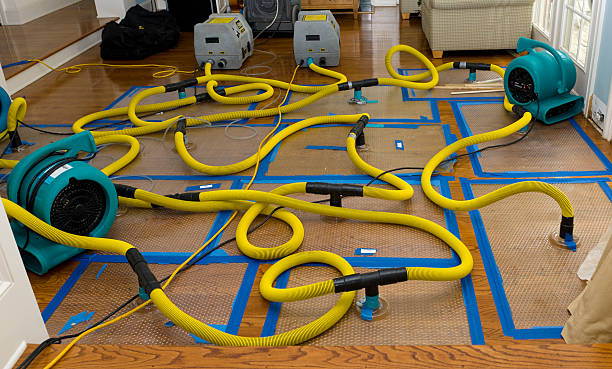 Professional Water Extraction technician working in Hinckley, MN